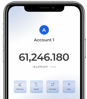 VerisPay app on an iPhone