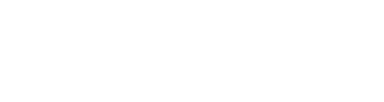 VerisPay