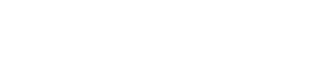 VerisPay